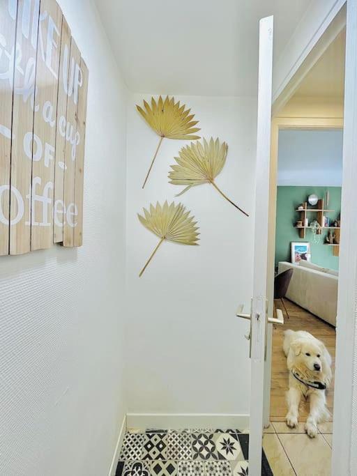 Le Breton, Hypercentre Historique Stb Apartment