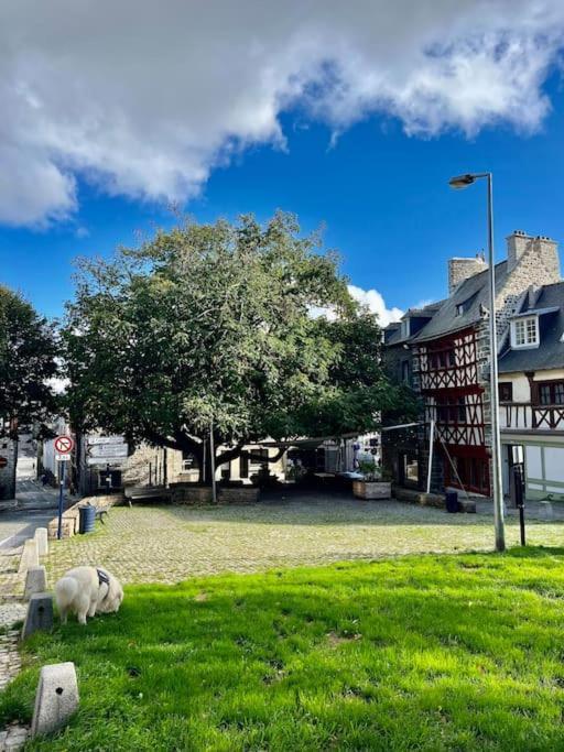 Le Breton, Hypercentre Historique Stb Saint-Brieuc